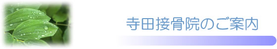 接骨院案内(寺田接骨院のご紹介)